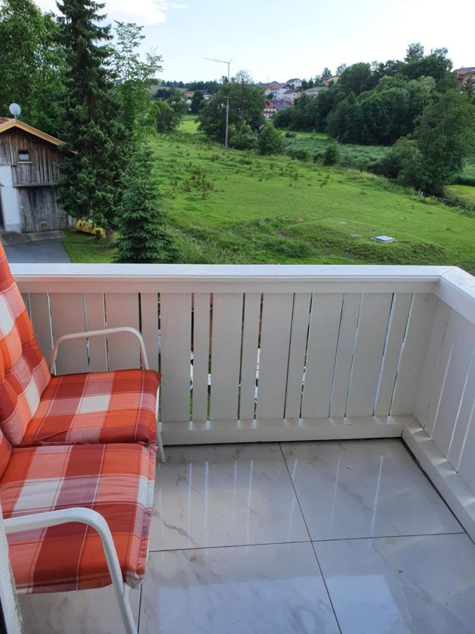 Andrea'S Apartment Rinchnach Экстерьер фото
